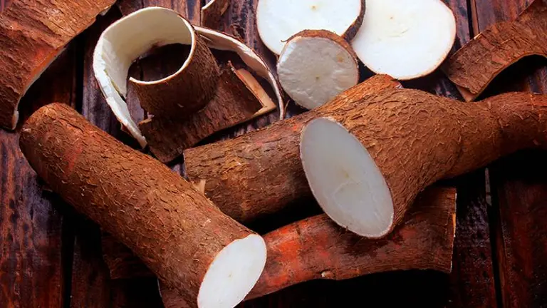 Mandioca: qué beneficios tiene para la salud y cómo incorporarla a tu alimentación