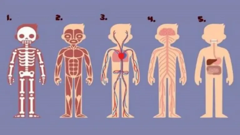 Test: la parte del cuerpo que priorices indica qué cambio tenés que hacer en tu vida