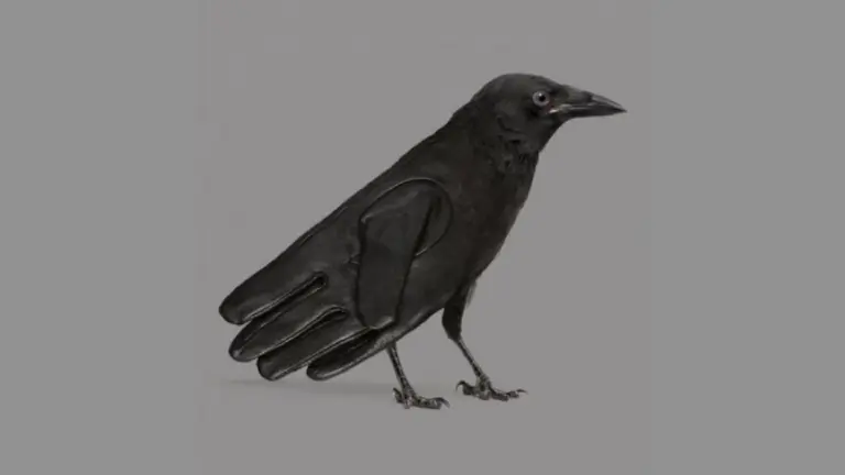 ¿Qué ves primero?: hacé este revelador test de personalidad y averiguá qué representa