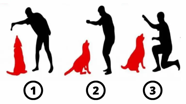 Reto de inteligencia: ¿podés identificar al hombre que no es dueño del perro?
