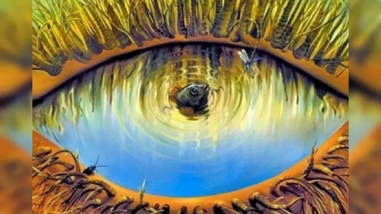 ¿Qué viste primero? Este test revela algo oculto sobre tu forma de ser