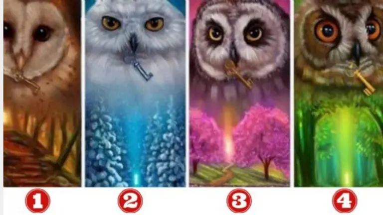 El test de los búhos: elegí uno y descubrí qué dice sobre tu personalidad