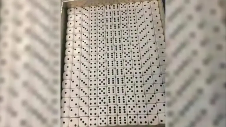 Reto visual: ¿podés encontrar el error entre las decenas de dados?