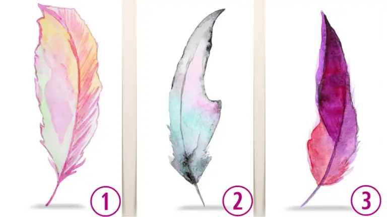 El test de las plumas: elegí la que más te guste y recibí un consejo para este nuevo mes