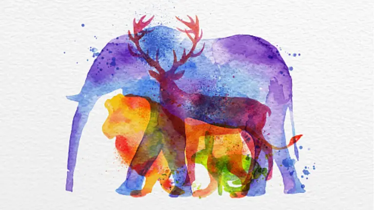 ¿Qué animal ves primero? Descubrí lo que revela sobre vos