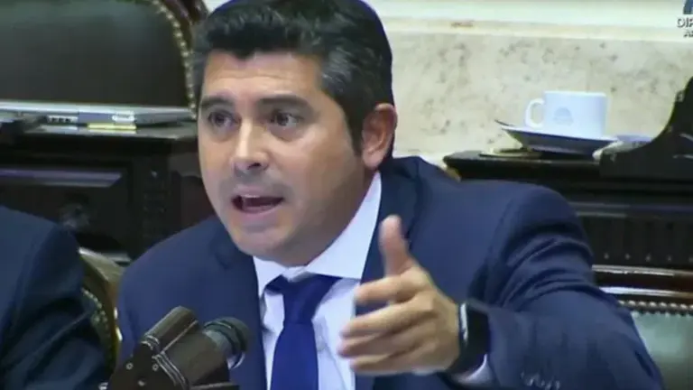 "Sos un pelotudo atómico": el error de un diputado en una reunión a través de Zoom