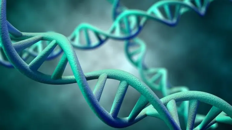 Héritas lanza Rewell, el futuro del bienestar, con el objetivo de mejorar la calidad de vida de las personas en todo Latinoamérica