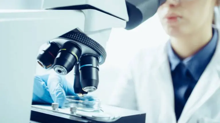 Así se ve la cepa Delta del coronavirus a través de un microscopio