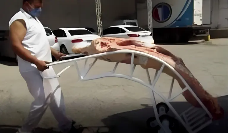 A contrarreloj, matarifes lanzan inédita propuesta para postergar el troceo obligatorio de carne