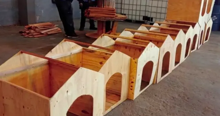 Construirán casas para perros abandonados con material reciclado