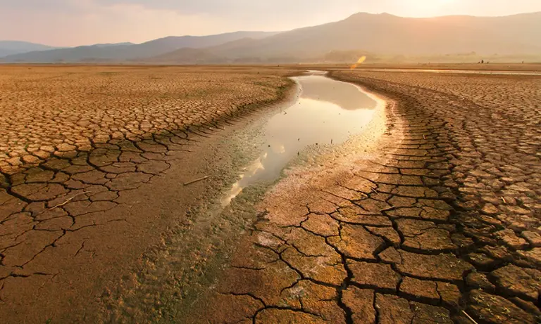 La Tierra superó los 1,5° de calentamiento durante 12 meses seguidos por primera vez
