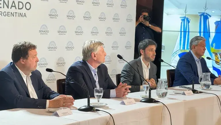 Tras el caso Chubut, gobernadores patagónicos buscan restablecer el diálogo con Milei: su estrategia