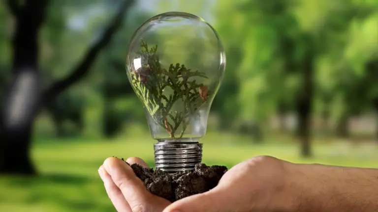 Verano en casa: cómo enfrentar el calor y ahorrar hasta un 70% en las facturas de luz y gas