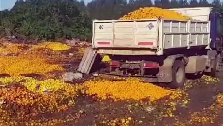 El impresionante video viral en el que se tiran a la basura más de 8.000 kilos de mandarinas
