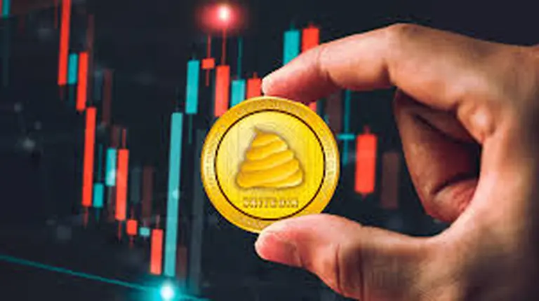 ¿Vale la pena invertir en shitcoins?: cuatro tokens que son tendencia en Dextools