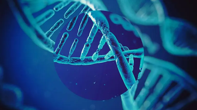 Crean el primer disco rígido que lee y almacena datos en ADN: ¿cómo funciona?