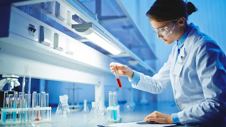 Un fondo apuesta a usar microbios para crear comida artificial