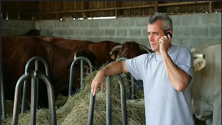 La conectividad 5G en áreas rurales irrumpirá en la sociedad de innumerables maneras desde 2019