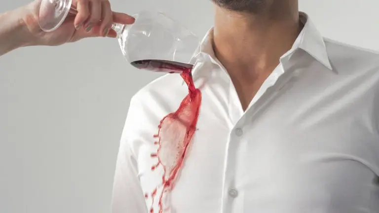 Ropa sustentable: una startup utiliza tecnología molecular para crear una "moda verde"