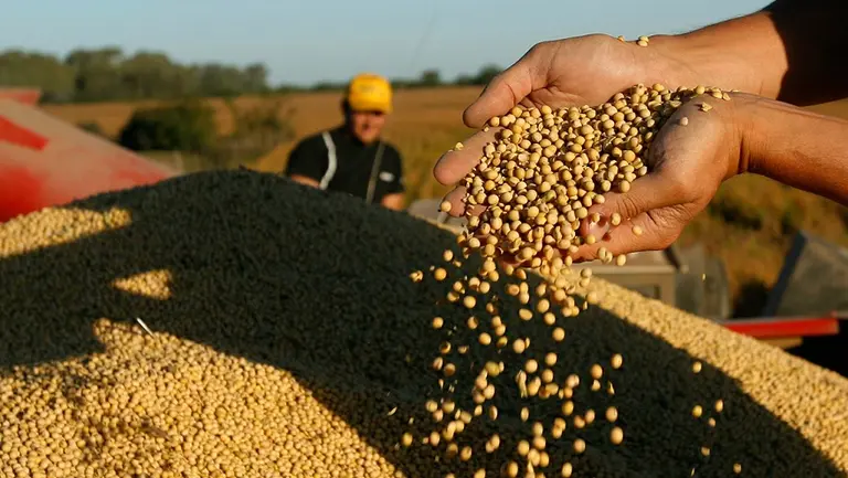 Talento de exportación: dos startups argentinas dedicadas al agro llegan a India