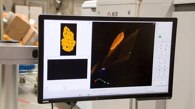 Puerta a puerta: la Aduana usa tecnología 3D e inteligencia artificial para verificar paquetes sin abrirlos