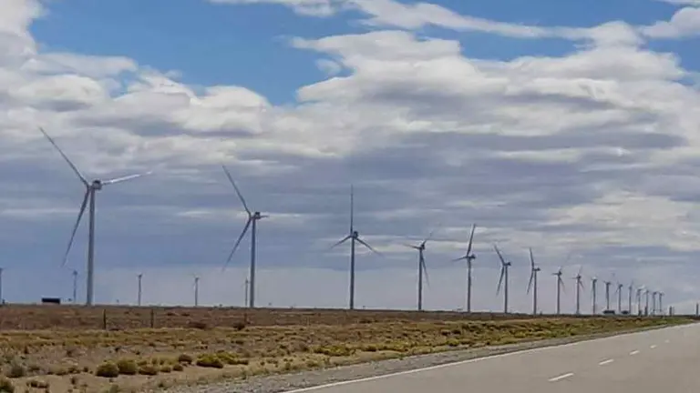 Hito: con una potencia instalada de 126 MW abrió Bicentenario, el mayor parque eólico del país