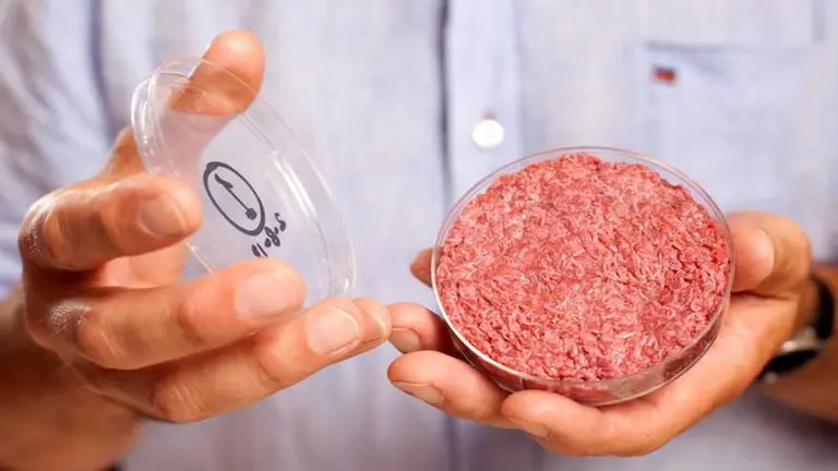 Para los profesionales, "en una década será común la carne sintética de laboratorio"