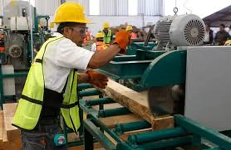 A salvo: estos son los trabajos que nunca serán sustituidos por la automatización