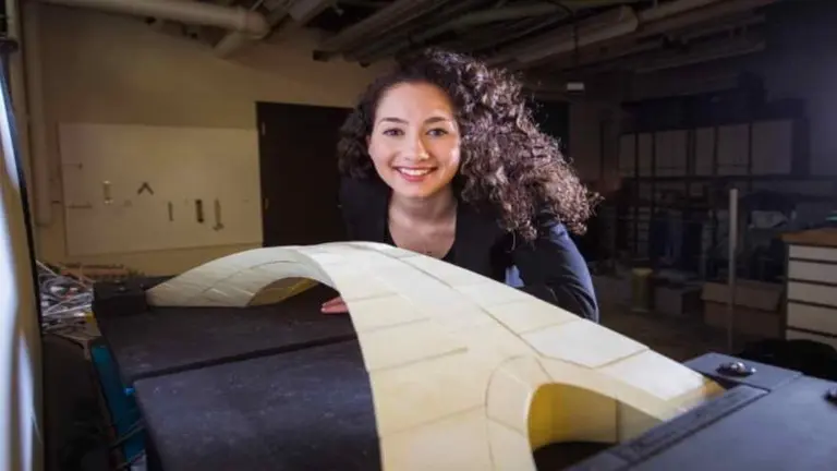 Adelanto de la ingeniería: este puente de Da Vinci hubiera sido el más largo de su época, y funcionado