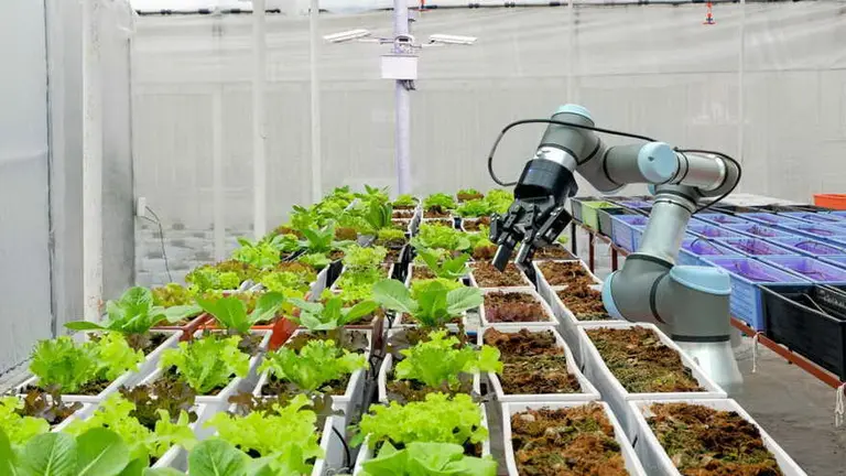 Agro 4.0: el desafío de transformar al sector en una industria más redituable y sustentable