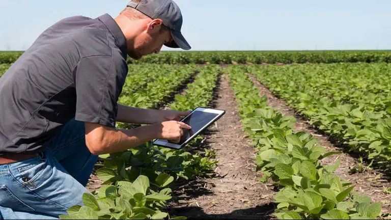 Se digitaliza: conocé "Campo Abierto", la app que busca revolucionar el mercado del agro