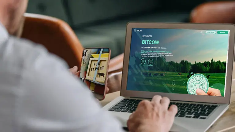 Nace Bitcow, para que ahorristas que no saben de campo se sumen al boom ganadero y ganen 7 veces lo invertido