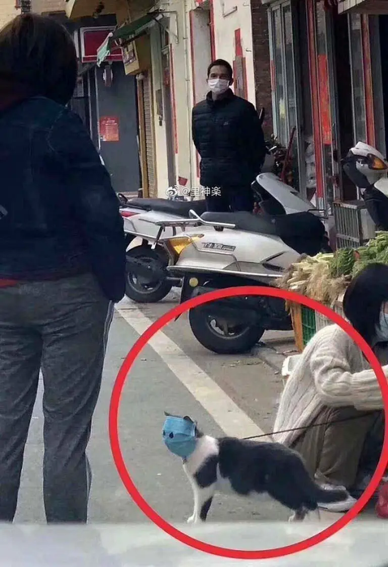 CoderHouse anuncia 4 nuevas carreras 100% digitales para estudiantes de Argentina, Chile y Uruguay