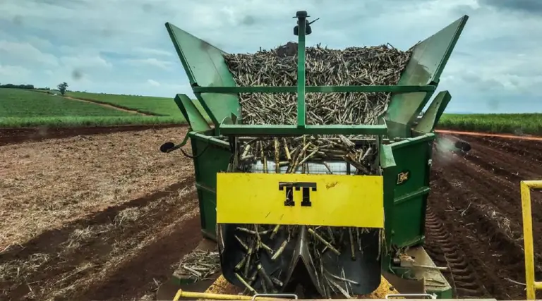Conocé Precision Cane, la innovadora Agtech argentina que busca inversores en Brasil