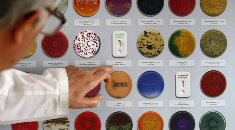 Gracias a la inteligencia artificial: investigadores del MIT descubren un potente antibiótico que destruye bacterias