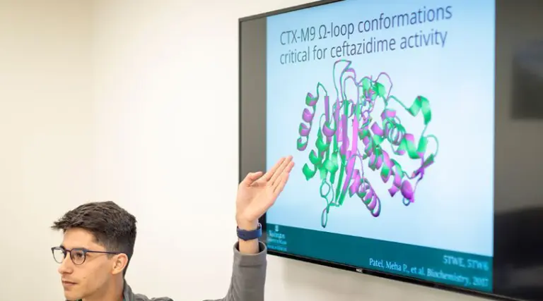 Big data, aliado contra el coronavirus: cómo millones de computadoras en todo el mundo combaten la pandemia