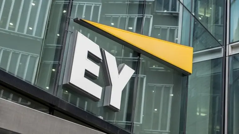 Empresas: EY Argentina entregó el premio al emprendedor del 2020