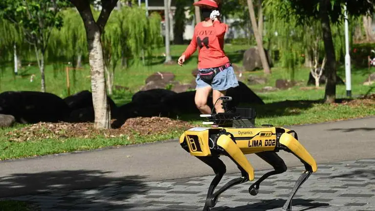 Increible pero real: estas ciudades ya utilizan robots para controlar el distanciamiento social