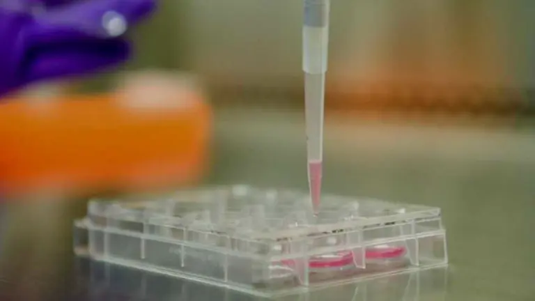 ¿Órganos humanos a medida?: la innovadora ola de productos sintéticos que impactará en un futuro cercano