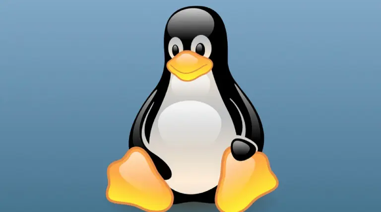 Ni "esclavo", ni "lista negra": ¿se viene el uso de lenguaje inclusivo en Linux?