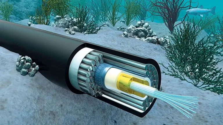 No sólo envío de datos a alta velocidad: conocé el nuevo uso que Google encontró para sus cables submarinos