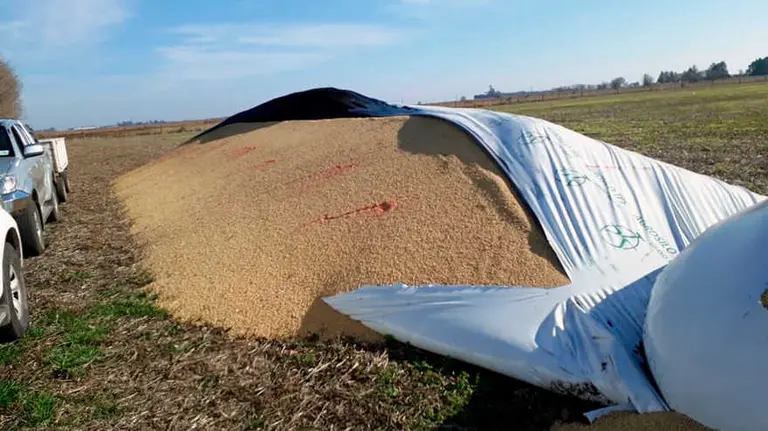 Tecnología en el campo: esta agtech argentina tiene la solución para frenar los ataques a las silobolsas