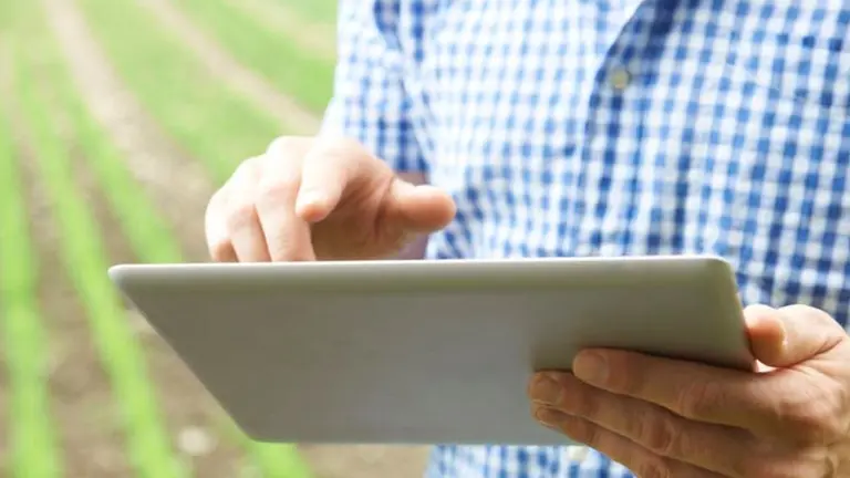 Las semillas tienen su propia inteligencia artificial: cómo funciona Dr. Agro, el asistente virtual de Sygenta