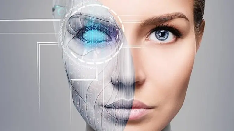 El "hombre máquina", cada vez más cerca: descubren cómo conectar órganos humanos a una computadora