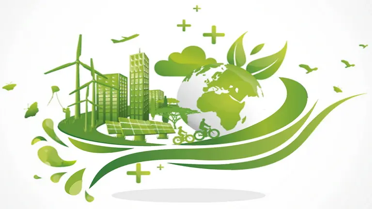 Según Mercado Libre, estos fueron los productos sustentables más vendidos en el país