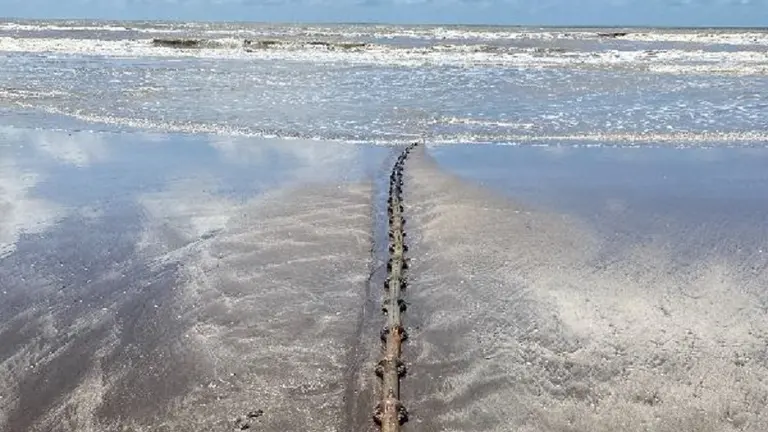 Tannat, el cable submarino de Google, llegó a Argentina: por qué es un proyecto clave para la conectividad regional