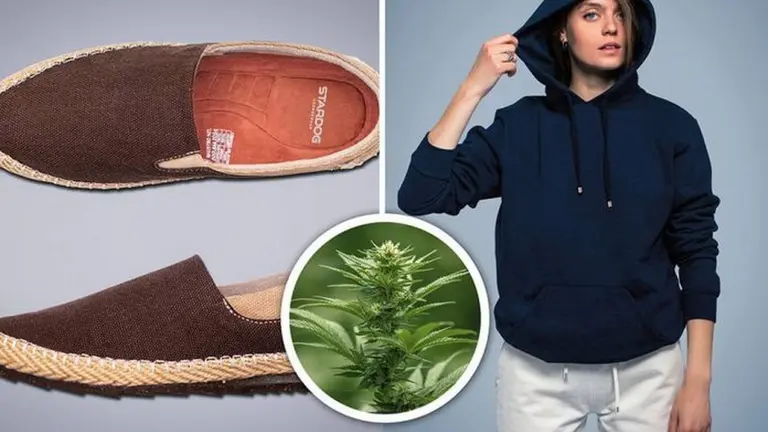 Con la legalización surgen otros usos: ¿se viene la ropa hecha con plantas de cannabis?