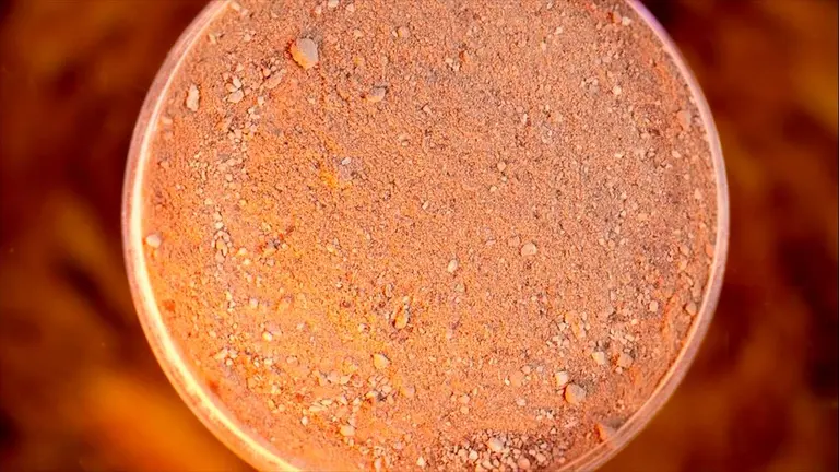 Avance en alimentos 4.0: cómo es Protón, la superproteína artificial que revolucionará el agro