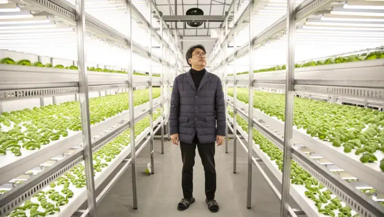 Marihuana y maquillaje: el novedoso enfoque de las "granjas del futuro"