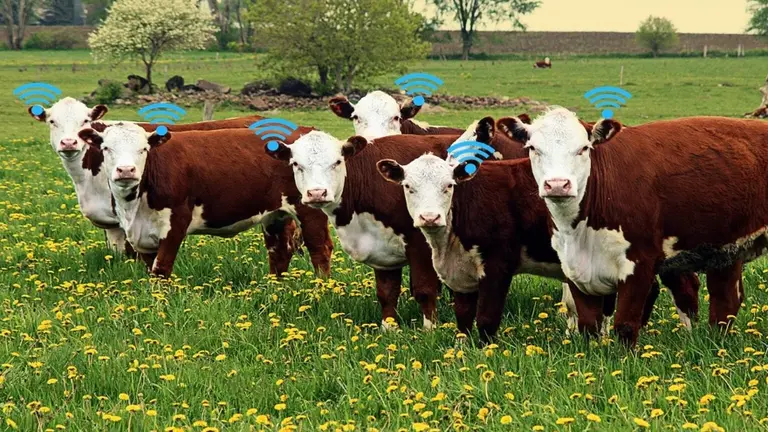 ¿Quién es el influencer que salió al cruce de María Becerra y "concientiza" sobre la vida en el campo?